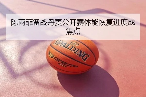 陈雨菲备战丹麦公开赛体能恢复进度成焦点